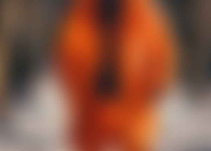 Venture Beyond the Basic: Stand Out with an Orange Parka