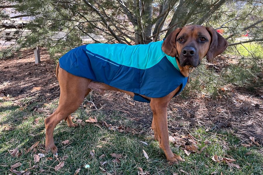 convertible parka for dog walking