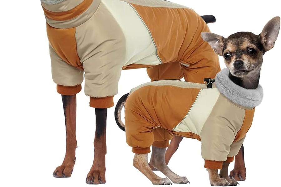 reflective dog walking parka with leash attachment