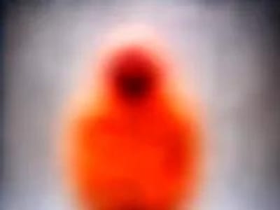 Carhartt Parka: Unveiling its Uniqueness and Why You Need One