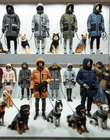 Parka Jackets for Pet Owners: The Best Options for Dog Walking in Any Weather
